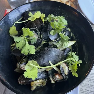 Thai Green Curry Mussels