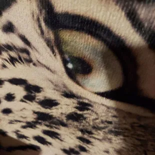 An eyeball  cuz I like it