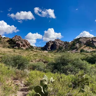 After ~1.5 miles an open grassy area