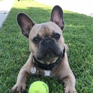 Lucy W.