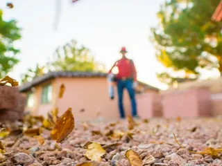 Complete Lawn and Tree Care by Saenz &