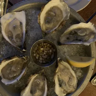 Oysters