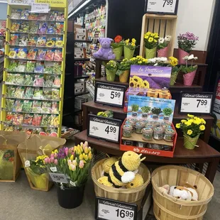 I purchased lavender and cilantro kit.