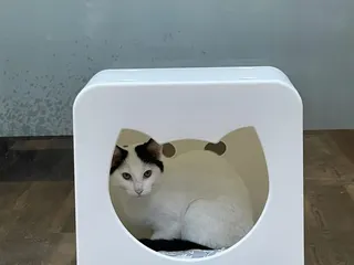 Planet Perk - City Center