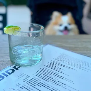 Dragones Silver | $22