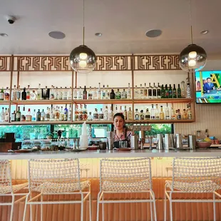 Bar and our fabulous bartender