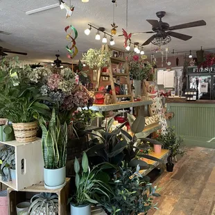 Green plants, blooming plants and fun garden decor.