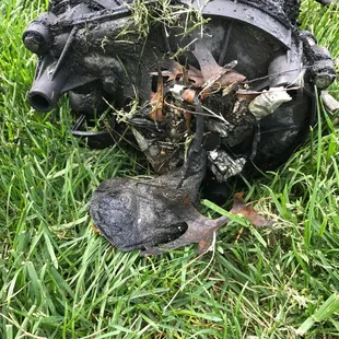 Gee I wonder why this sump pump isn't working....