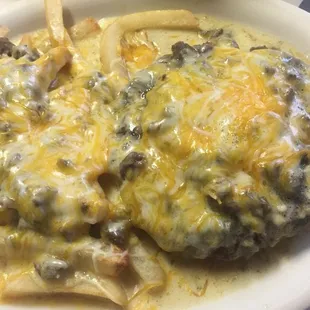 Emma's Special. Hamburger &amp; Fries smothered in green chile.