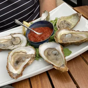 Oysters