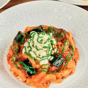 Rigatoni alla Norma -  fried eggplant, fresh mozzarella, basil, light marinara sauce