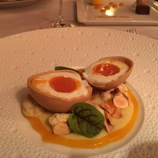 Buttermilk panna cotta with apricots and almonds