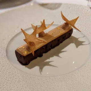 Gianduja mousse and dark chocolate, cocoa nib and champagne