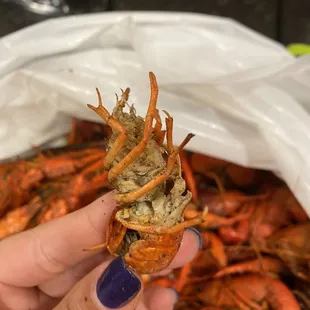 What is this? I had a lot of these
