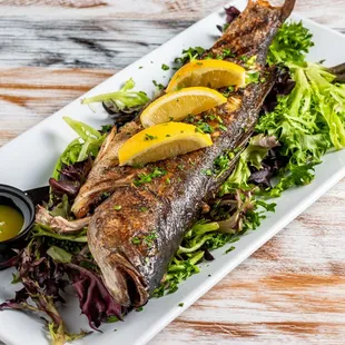 Acropolis Tarpon Springs