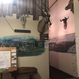 Stuffed animal heads.