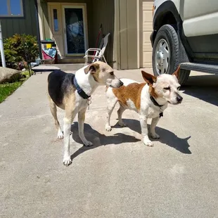 We love our customers!