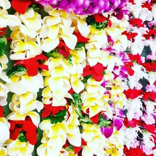 Lei Airport pickup Greetings