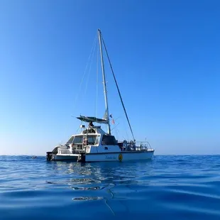 Catamaran Turtle Canyon Snorkeling Tour