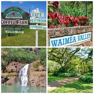 North Shore Waterfall Tour