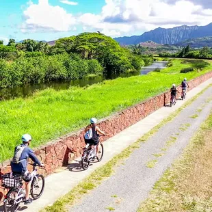 E-Bike along the Kawainui Marsh, a National monument, in Kailua.