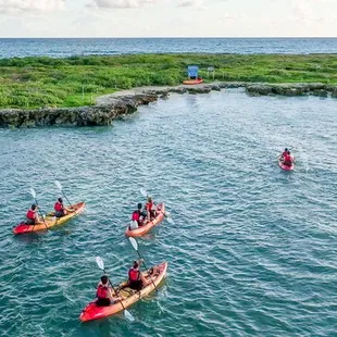 Kayaking to Flat Island (Popoia Island Seabird Sanctuary)