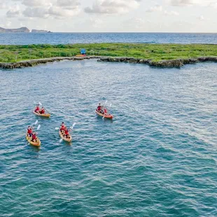 Kayak to Popoia Island, just offshore from Kailua Beach