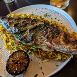 food, grilled fish, fish, seafood, grilled seafood