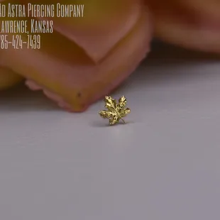 Solid Gold Leaf because... #fallvibes