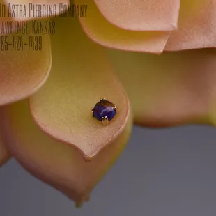 Copper Purple Turquoise Cab Set into Solid Gold