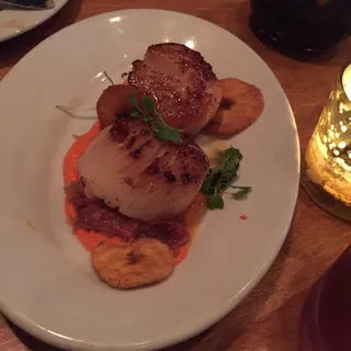 Seared Scallops