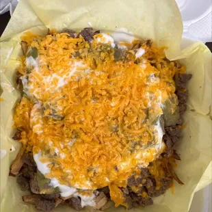 Carne asada fries