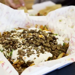 Carne Asada Fries