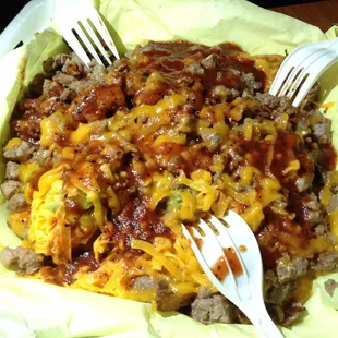 Carne Asada Fries