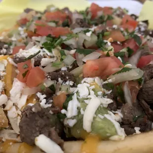 Carne Asada Fries