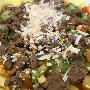 Carne Asada Fries