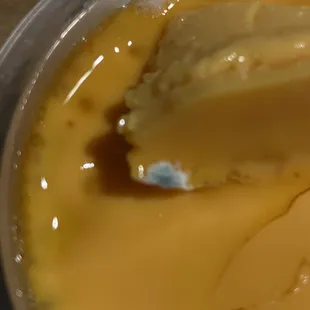 Mold growth on flan