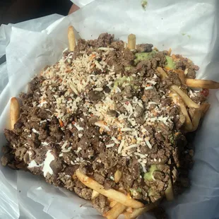 Carne Asada Fries