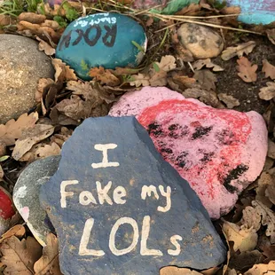 some of the rocks on the rock lined trail