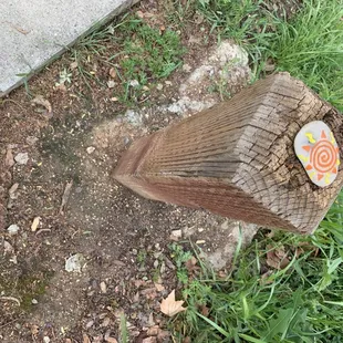 Thanks for the cute rocks