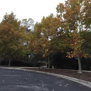 Cute bridge on the side!