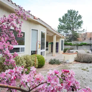 this picture is so amazing. i wish our grass wasn't dead, but the photo is just delicious