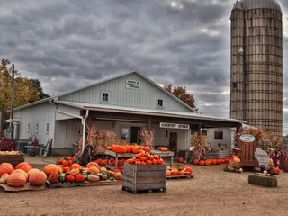 Cody's Farm And Orchard