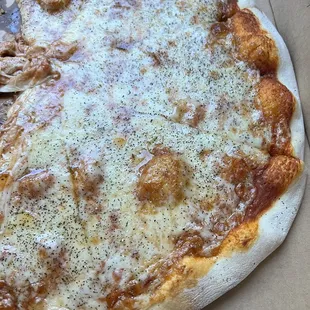 Regular Cheese Pizza.