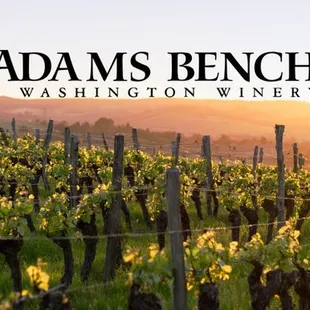 www.adamsbench.com