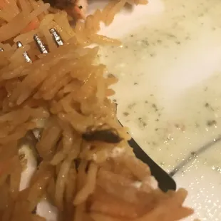 Cockroach on Chicken Biryani