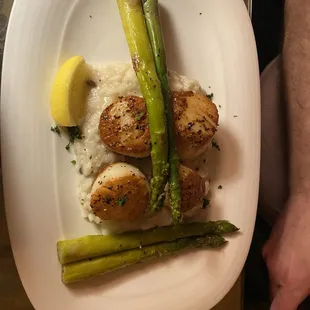 Scallops