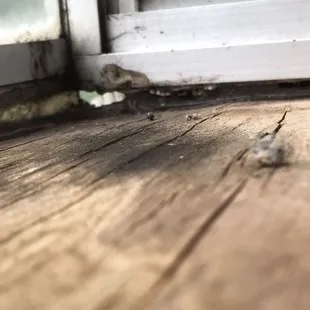 It took 10 months for them to fix the seal on this window.