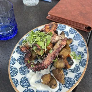 GRILLED OCTOPUS G