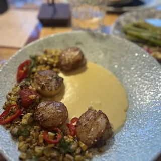 SEARED SCALLOPS* G